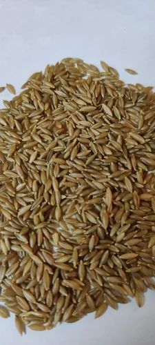 Bamboo Rice, Packaging Type: Jute Bag, Packaging Size: 10-25 Kg