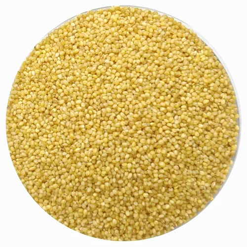 Indian Organic Foxtail Millet, Packaging Size: 1 kg, Gluten Free