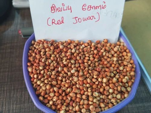Red Jowar - Sivapu Solam, 50 Kg