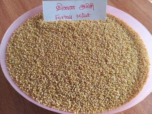 Foxtail Millet Rice - Thinai Arisi