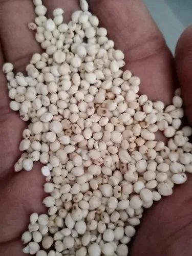 White Sorghum Rice - Vella Cholam Arisi, Bag, Organic