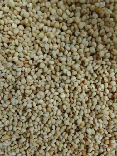 Browntop Millet Rice