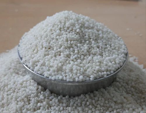 Polished Kodo Millet
