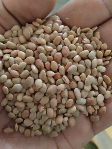 White Horse Gram Kollu