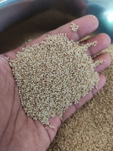 Samai Little Millet