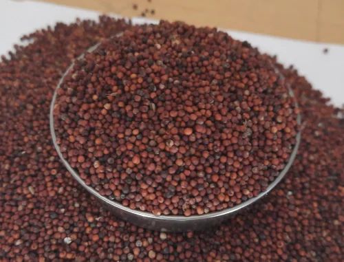Finger Millet Keppai Ragi Kelvaragu, Whole Grain