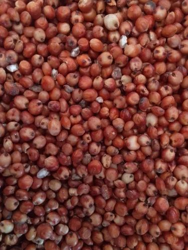 Red Jowar Red Cholam