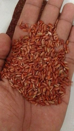 Red Rice