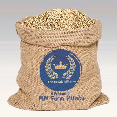 Organic White Jowar White Sorghum Vellai Sholam, Food Grade