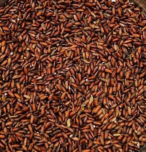 Traditional Poongar Rice Organic, 50 Kg, PP Bag