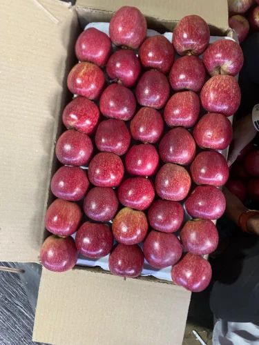 Fresh Apple