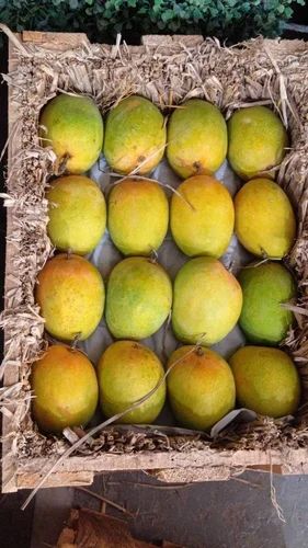 Alphonso Fresh Mangoes