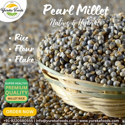 Indian Organic Bajra Pearl Millet, For Cooking, High in Protein