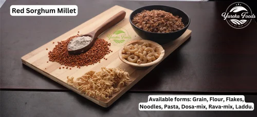 Organic Red Sorghum Millet Rice Grain