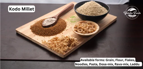 Unpolished Kodo Millet Flour (Fine Powder)