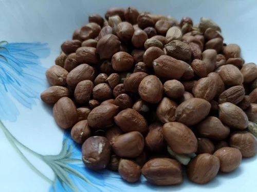 Fresh Peanut Seeds