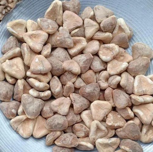 Brown B Grade Dried Singhara, Loose