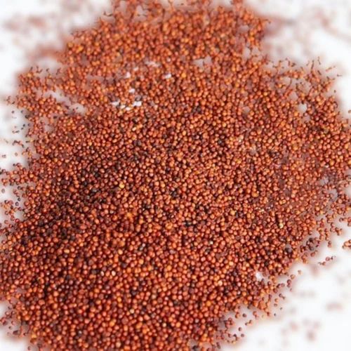 Red Whole Nachni
