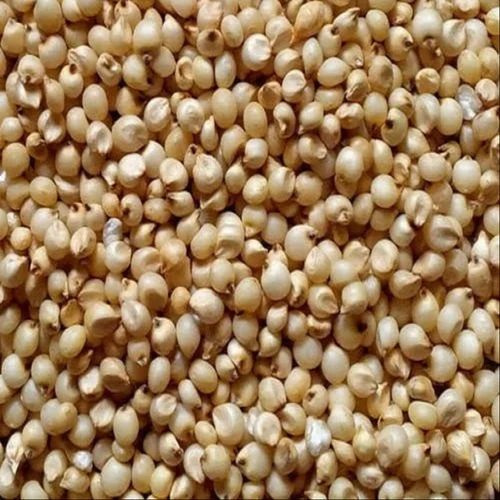 White Whole Jowar, Food Grade, Conventional