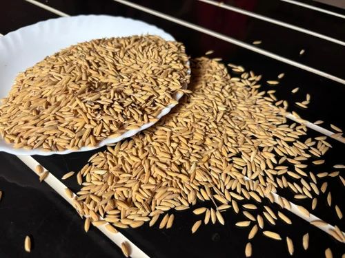 40Kg Paddy Rice