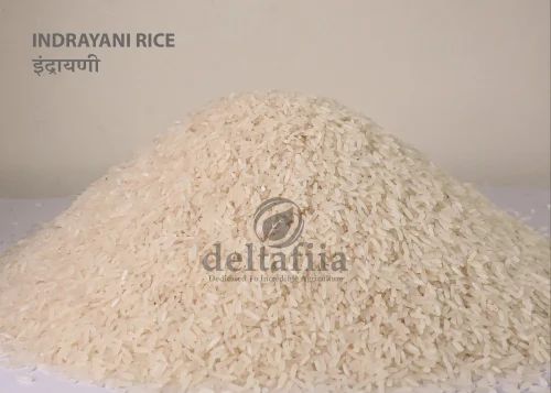 Fresh Indrayani Rice