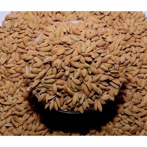 1692 Brown Ambai 16 Paddy