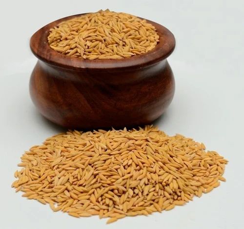 1509 Original Amman Paddy