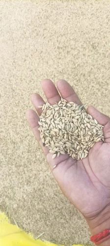 White Paddy Rice, Packaging Size: 75, Ponni