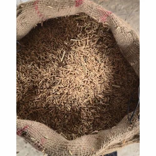 Sharbati Kishan Variety Organic Unpolished Paddy Rice