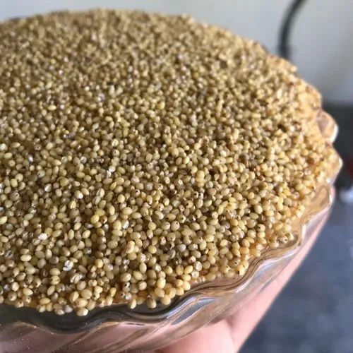 Foxtail Millet - Unpolished, Gluten Free