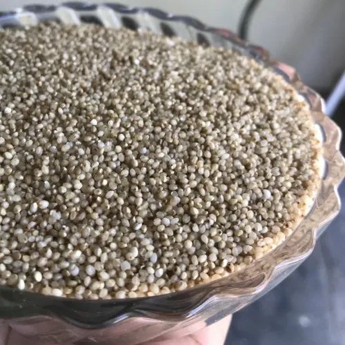 Little Millet - Unpolished, Gluten Free, Packaging Size: 25 Kg