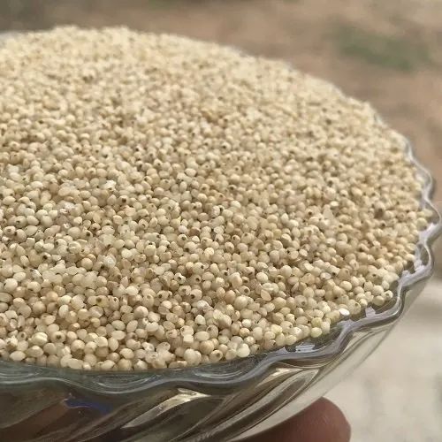 Barnyard Millet - Unpolished, Gluten Free