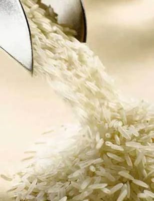 Rice