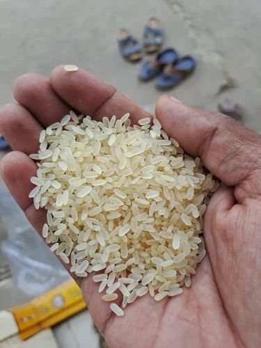 Jaya Paradise Rice, Packaging Size: 25 Kg, PP Bag