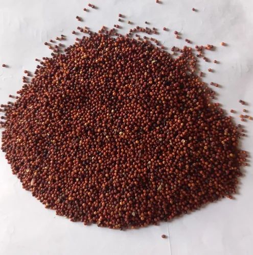 25 Kg Organic Ragi Seeds, Whole Grain