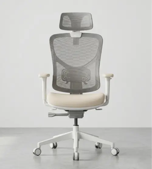 Ergonomic Chairs