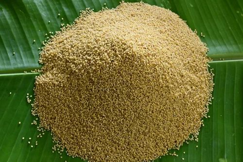 Organic Little Millet