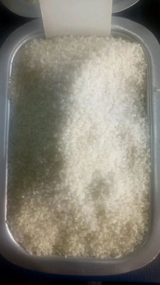 Nest Bks Rice