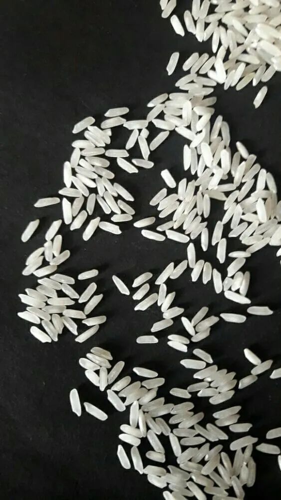 Jay Shree Ram Rice