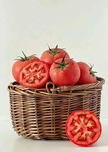 Organic Fresh Tomato