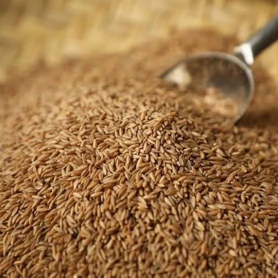 Bamboo Rice