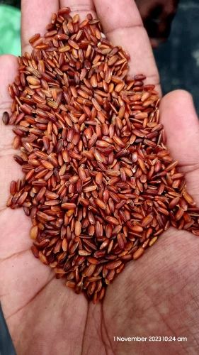 ROSE RAW RICE(UNPOLISHED), Packaging Size: 50 kg