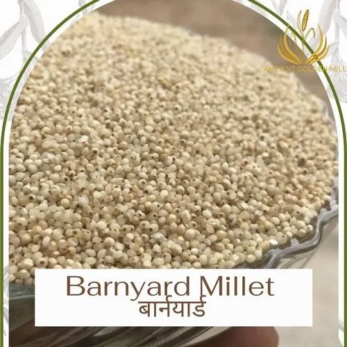 White Organic Barnyard Millet, High In Protein