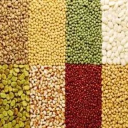 Indian Organic Food Grains, No Preservatives