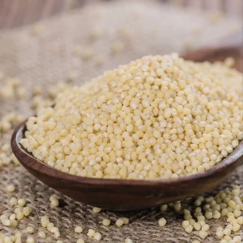 Light yellow Little Millet Samai Rice, 30 Kg, Bag