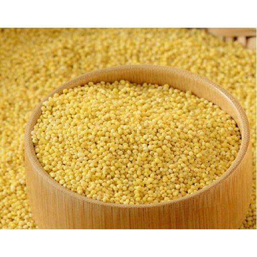 Little Millet Samai Rice