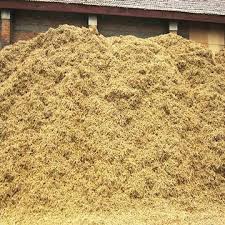 Mustard Husk