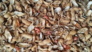 Groundnut Husk