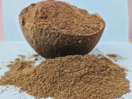 Organic Coconut Shell Powder