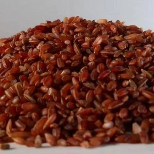 Kaatutyanam rice